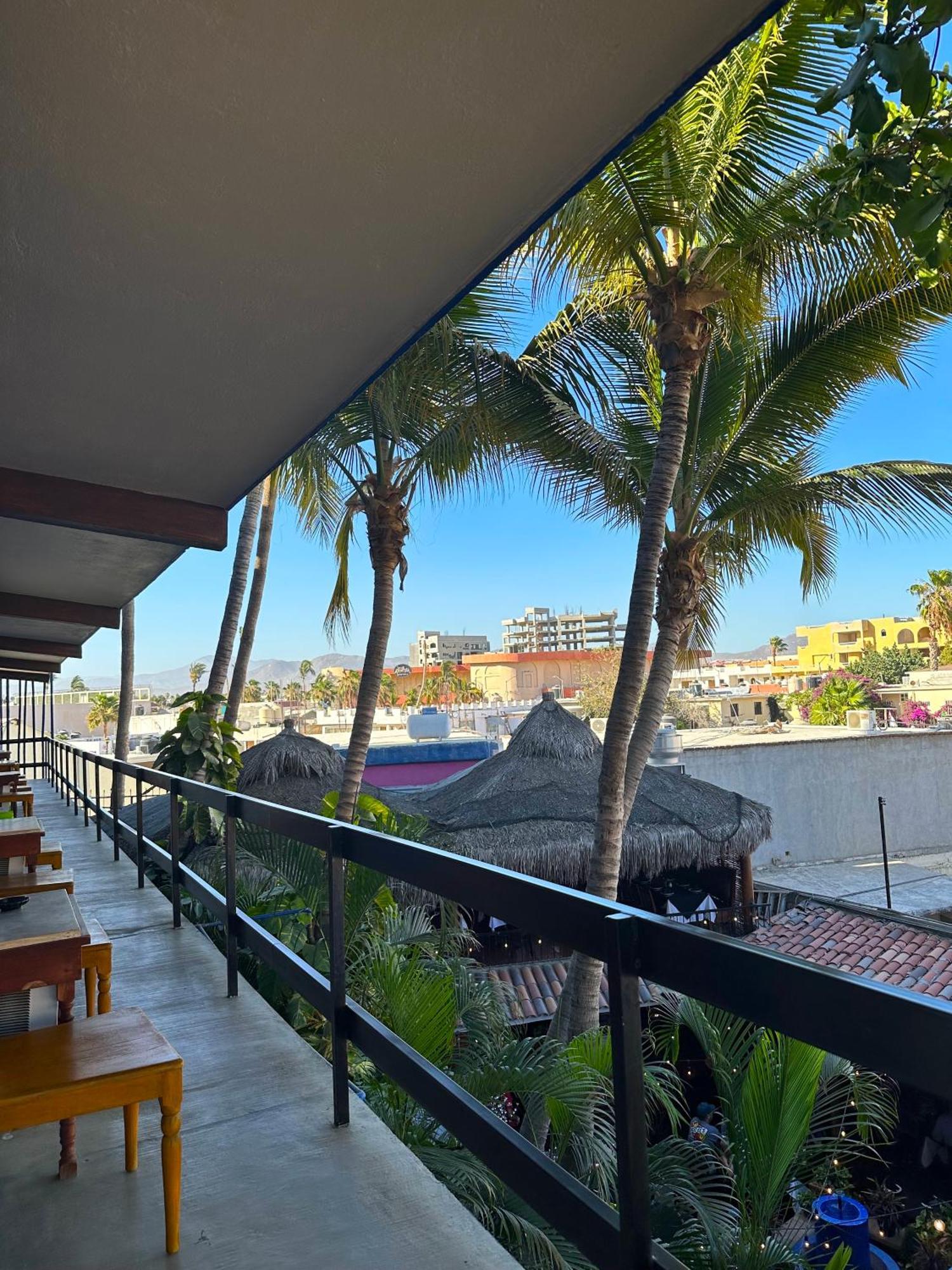 Siesta Suites Boutique Hotel Cabo San Lucas Esterno foto